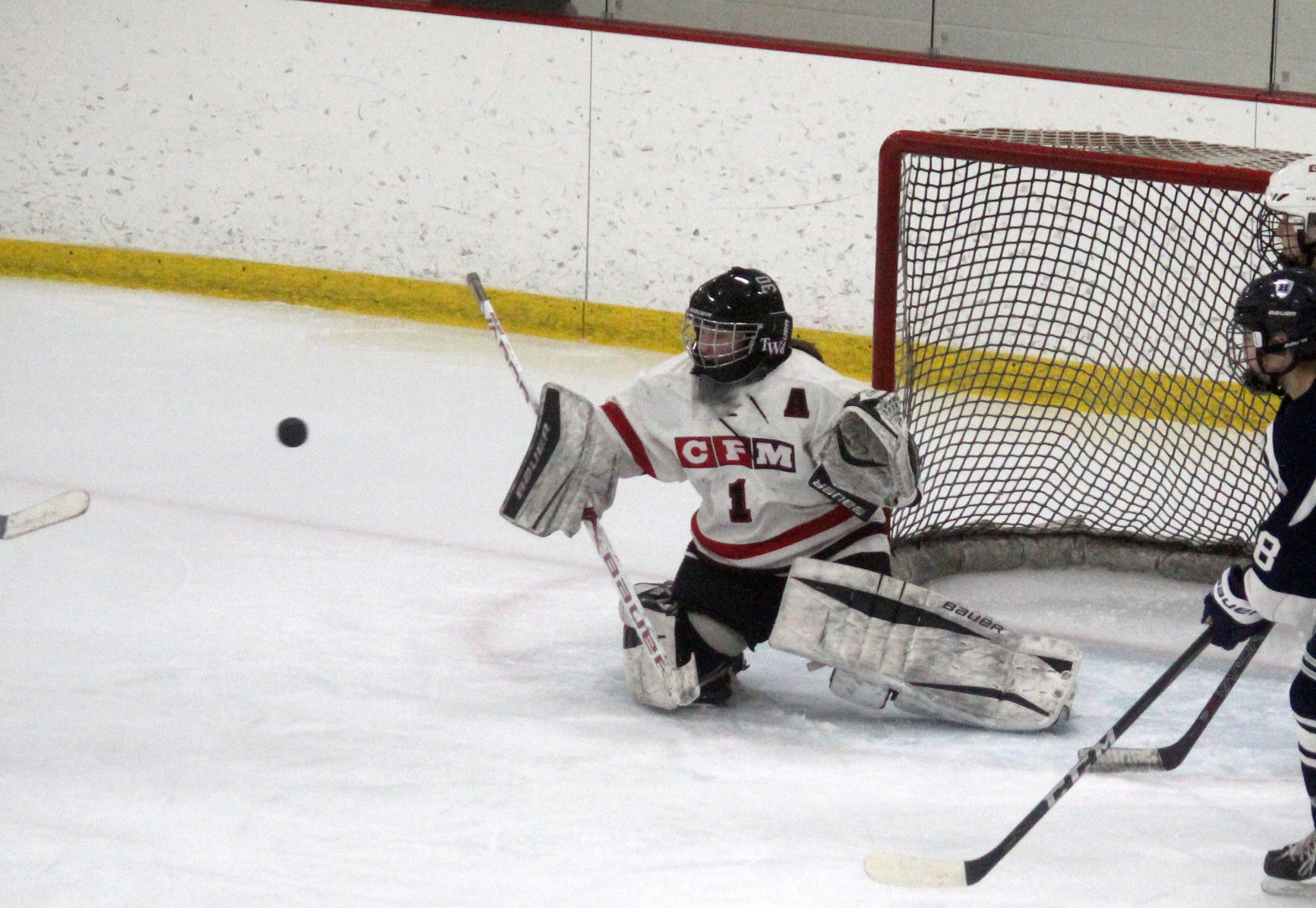 Hudson at Chi-Hi/Menomonie girls hockey 1-10-19